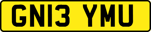 GN13YMU