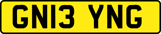 GN13YNG