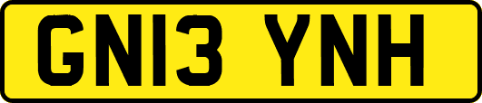 GN13YNH