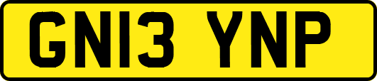 GN13YNP
