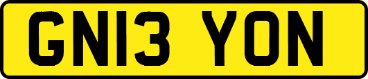 GN13YON