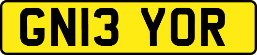 GN13YOR