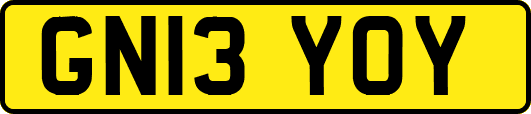 GN13YOY