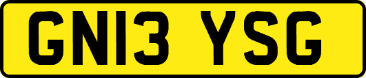 GN13YSG