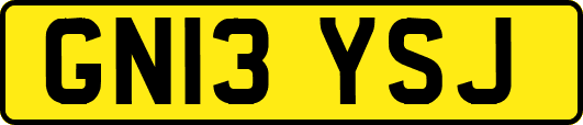 GN13YSJ
