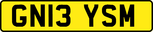 GN13YSM