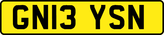 GN13YSN