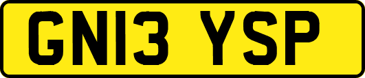 GN13YSP