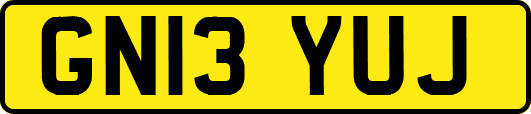 GN13YUJ