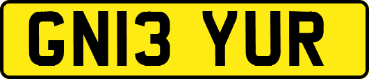 GN13YUR