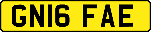 GN16FAE