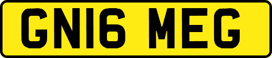 GN16MEG