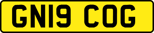 GN19COG