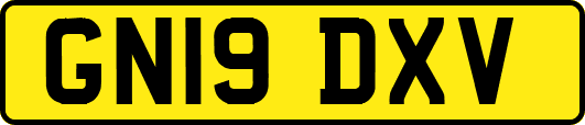 GN19DXV