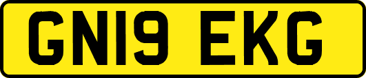 GN19EKG