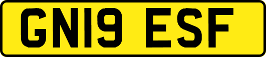 GN19ESF