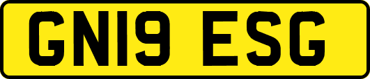 GN19ESG