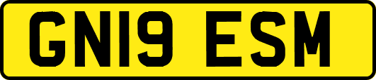 GN19ESM