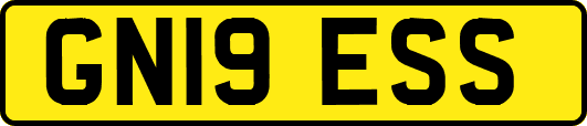 GN19ESS