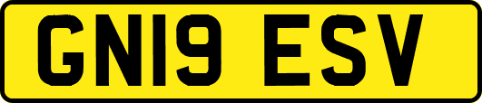 GN19ESV
