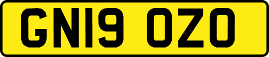 GN19OZO