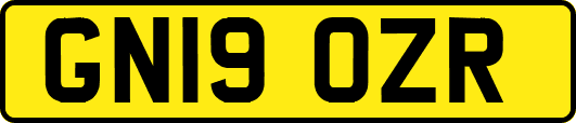 GN19OZR