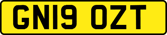 GN19OZT