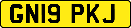 GN19PKJ