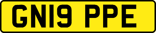 GN19PPE