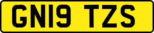 GN19TZS