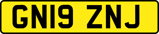 GN19ZNJ