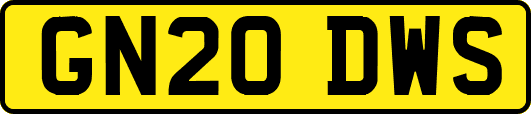 GN20DWS