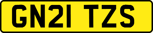 GN21TZS