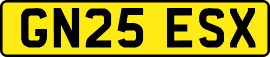 GN25ESX