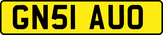 GN51AUO