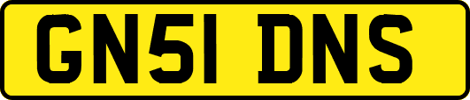 GN51DNS