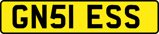 GN51ESS