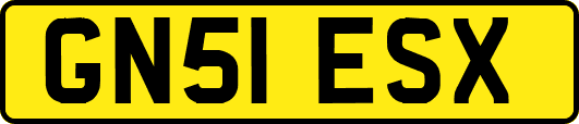 GN51ESX