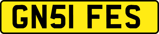 GN51FES