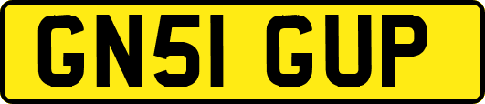 GN51GUP