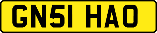 GN51HAO