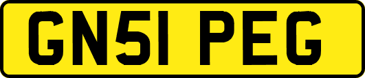 GN51PEG