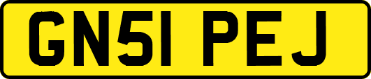 GN51PEJ