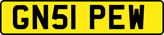 GN51PEW