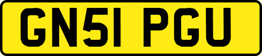 GN51PGU