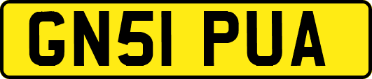 GN51PUA