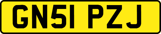 GN51PZJ