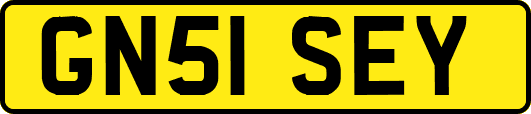 GN51SEY