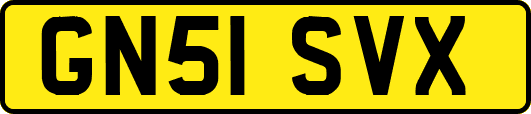 GN51SVX