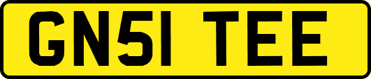 GN51TEE